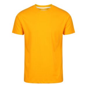 Mens Regular T Shirt